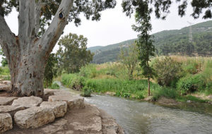 La rivière Kishon