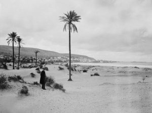 Haifa en 1910